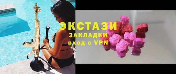 стаф Вязьма