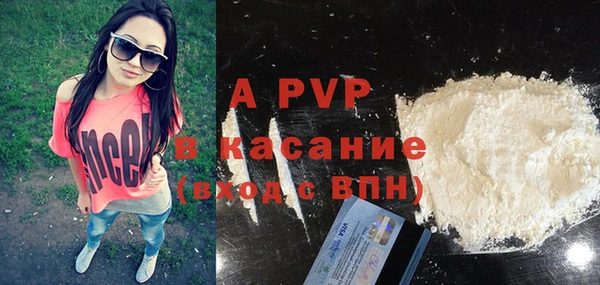 ГАЛЛЮЦИНОГЕННЫЕ ГРИБЫ Верея
