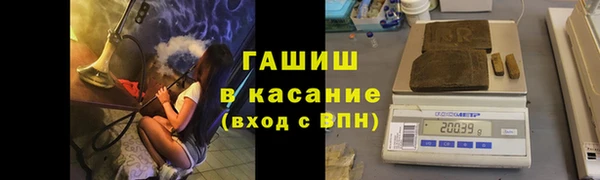 ГАЛЛЮЦИНОГЕННЫЕ ГРИБЫ Верея