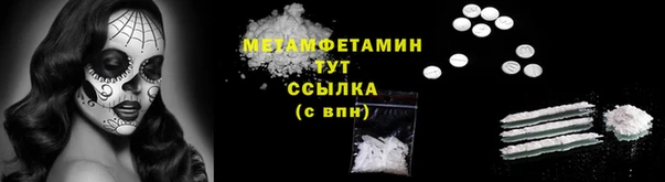 ГАЛЛЮЦИНОГЕННЫЕ ГРИБЫ Верея