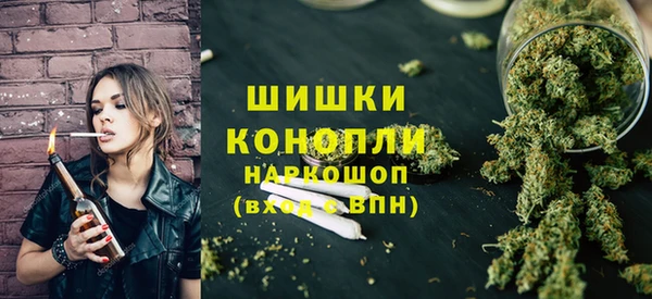 ГАЛЛЮЦИНОГЕННЫЕ ГРИБЫ Верея