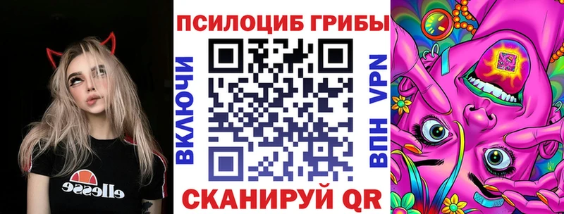 Купить  Лесосибирск  Псилоцибиновые грибы мицелий 