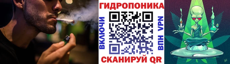 Купить  Лесосибирск  Конопля планчик 